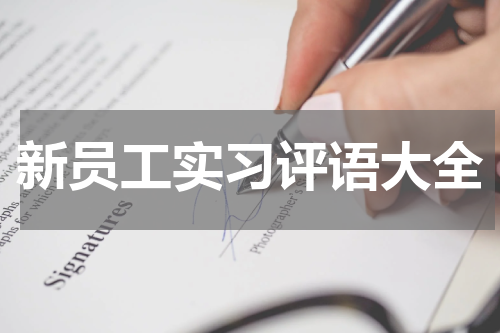 新员工实习评语大全