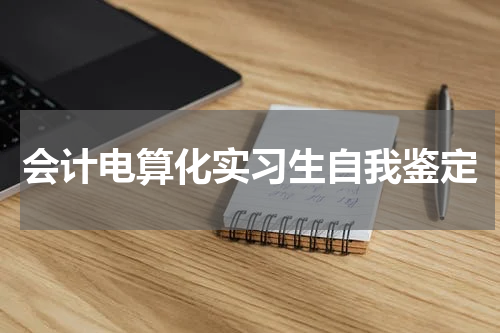 会计电算化实习生自我鉴定