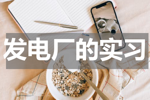 发电厂的实习
