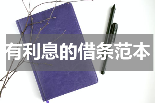有利息的借条范本