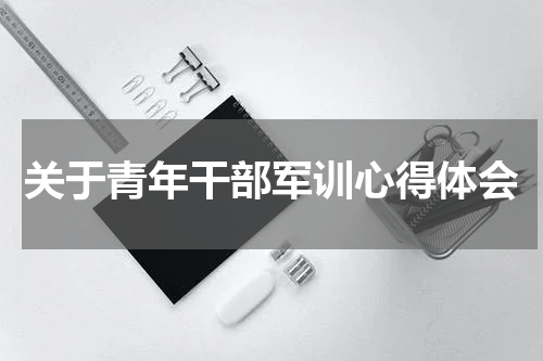 关于青年干部军训心得体会