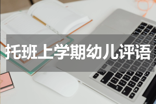 托班上学期幼儿评语