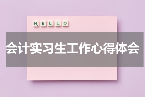 会计实习生工作心得体会