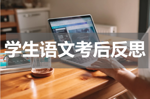 学生语文考后反思
