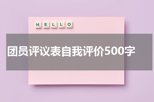 团员评议表自我评价500字