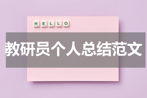 教研员个人总结范文
