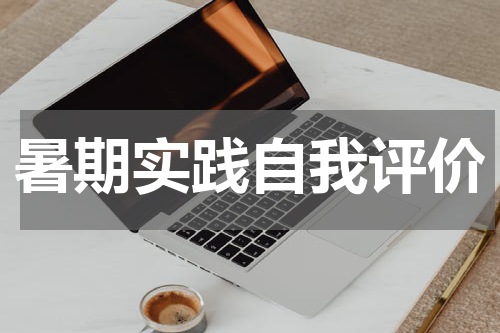 暑期实践自我评价