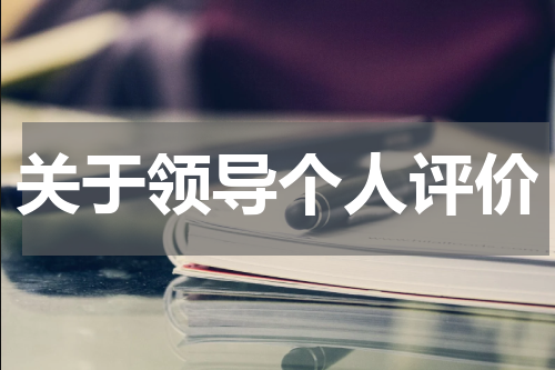 关于领导个人评价