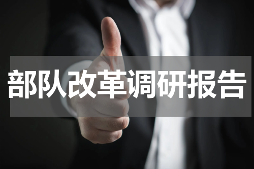 部队改革调研报告