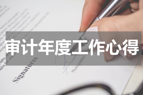 审计年度工作心得