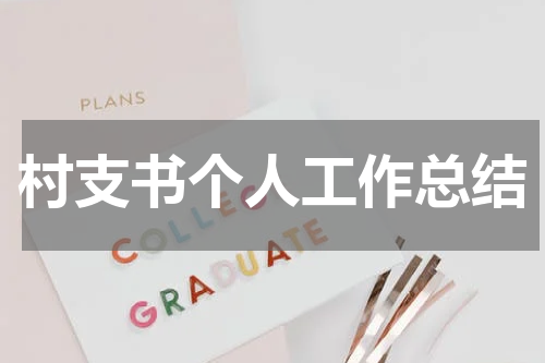 村支书个人工作总结