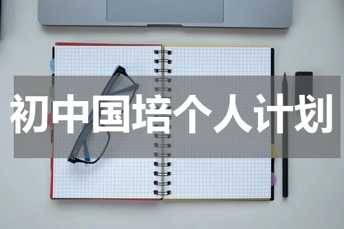 初中国培个人计划