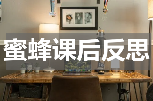 蜜蜂课后反思