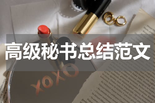 高级秘书总结范文