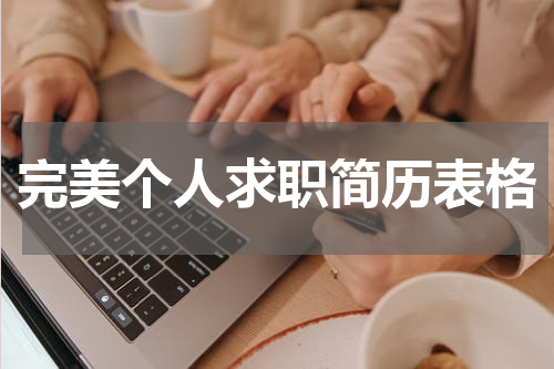完美个人求职简历表格