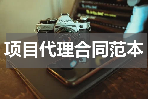 项目代理合同范本