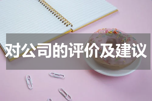 对公司的评价及建议