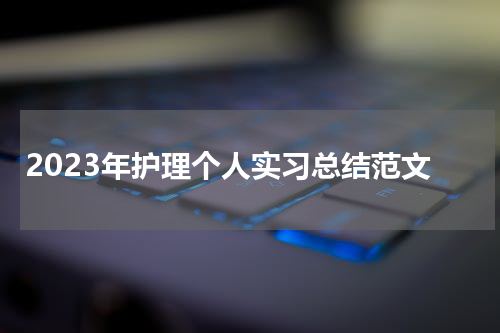 2023年护理个人实习总结范文