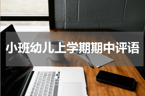 小班幼儿上学期期中评语