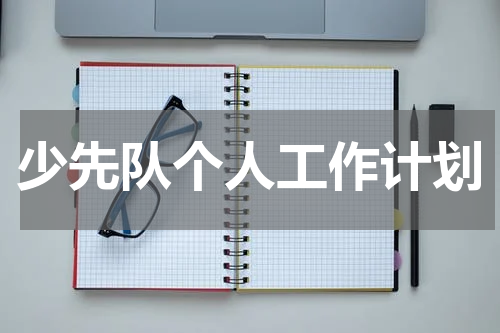 少先队个人工作计划