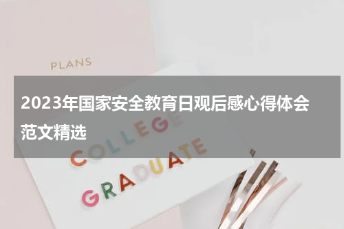 2023年国家安全教育日观后感心得体会范文精选