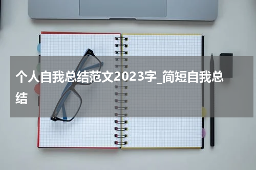 个人自我总结范文2023字_简短自我总结