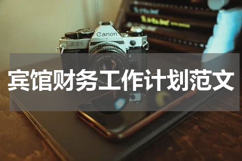 宾馆财务工作计划范文