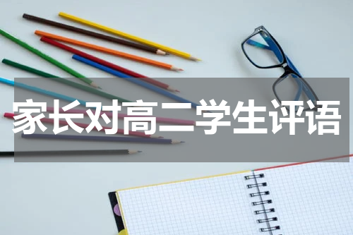 家长对高二学生评语