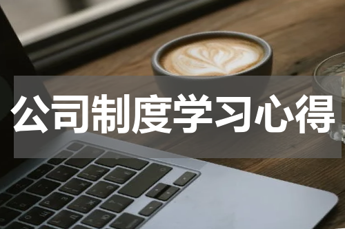 公司制度学习心得