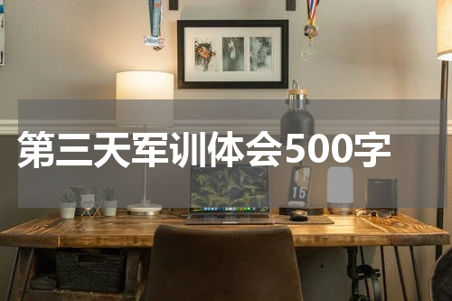 第三天军训体会500字