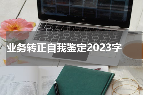 业务转正自我鉴定2023字