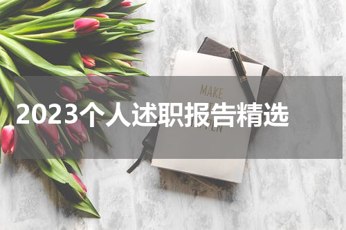 2023个人述职报告精选