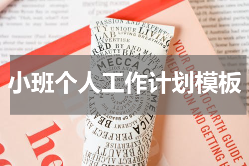 小班个人工作计划模板