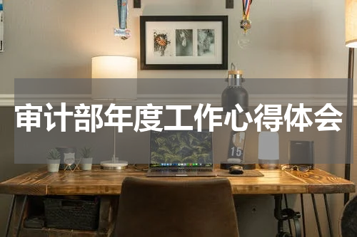 审计部年度工作心得体会