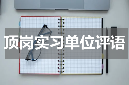 顶岗实习单位评语