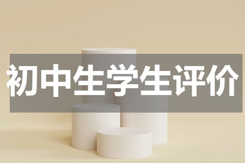 初中生学生评价