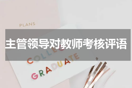 主管领导对教师考核评语