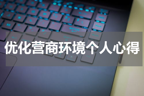 优化营商环境个人心得