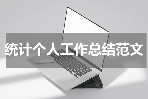 统计个人工作总结范文