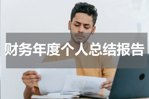 财务年度个人总结报告