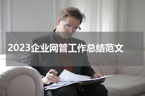 2023企业网管工作总结范文