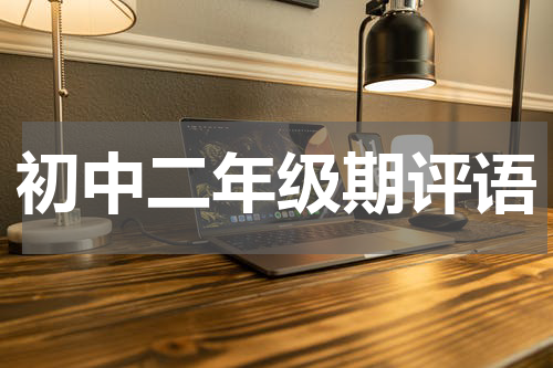 初中二年级期评语