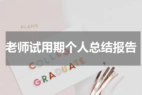 老师试用期个人总结报告