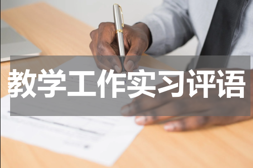 教学工作实习评语