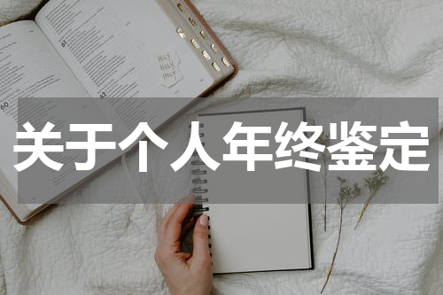 关于个人年终鉴定