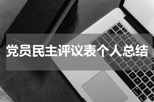党员民主评议表个人总结