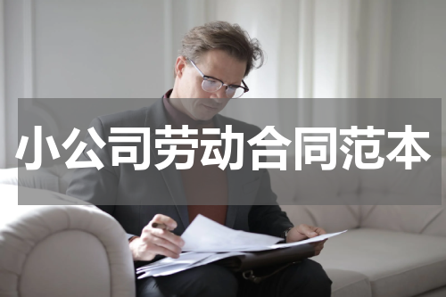 小公司劳动合同范本