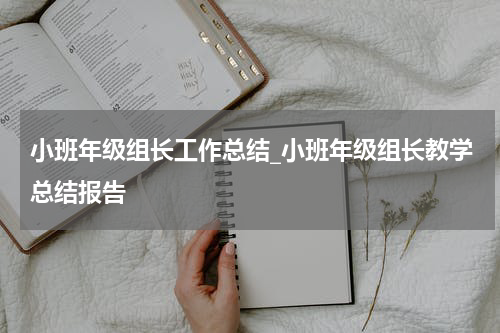 小班年级组长工作总结_小班年级组长教学总结报告