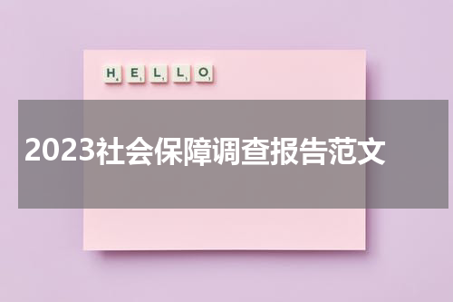 2023社会保障调查报告范文