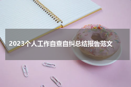 2023个人工作自查自纠总结报告范文